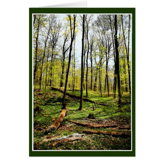 tief im Wald (Vorne)