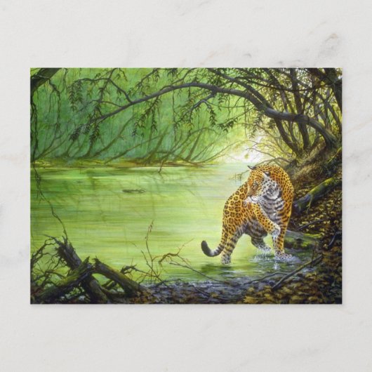 Tief im Wald, Jaguar Postkarte (Vorderseite)