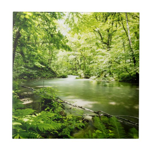 Tief in den Wald Fliese (Vorderseite)