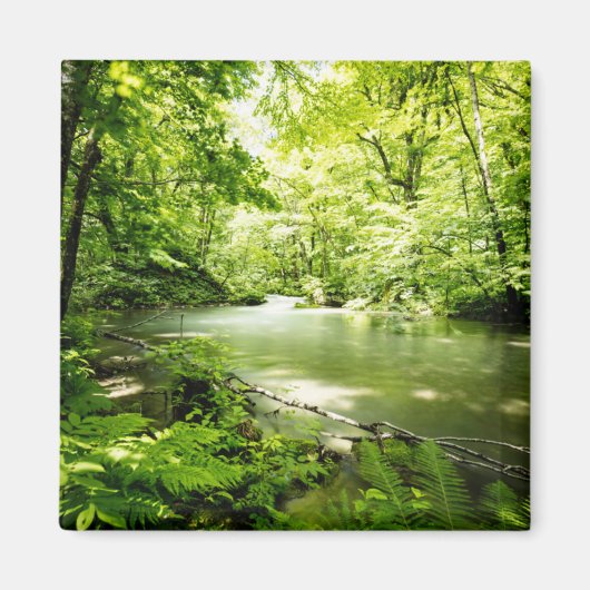 tief in den Wald Magnet (Vorne)