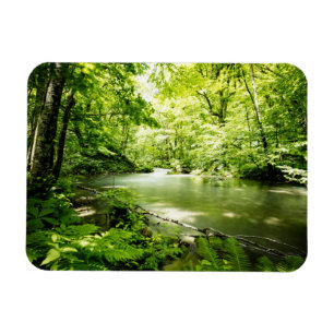 Tief in den Wald Magnet