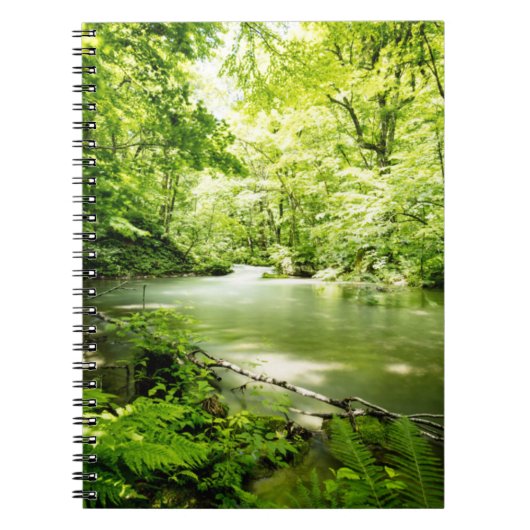 Tief in den Wald Notizblock (Vorderseite)