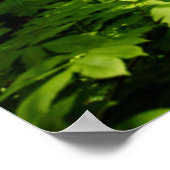 tief in den Wald Poster (Ecke)