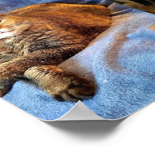 TIEF IN GEDANKENKITÄT POSTER (Ecke)