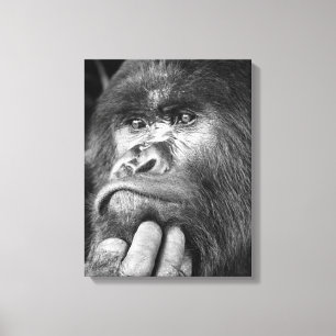 Tief in Graugatsche Canvas Print Leinwanddruck