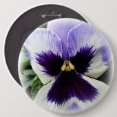 tief lila auf weiße Pansie Button (Vorne & Hinten)