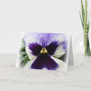 tief lila auf weiße Pansie Karte