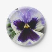 tief lila auf weiße Pansie Pappteller (Vorderseite)