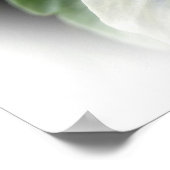 tief lila auf weiße Pansie Poster (Ecke)