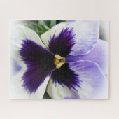 tief lila auf weiße Pansie Puzzle (Horizontal)