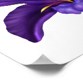 Tief Lila Bog Wasser Iris Illustration Poster (Ecke)