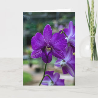 Tief Lila Orchid individuell anpassbare Grußkarte. Karte