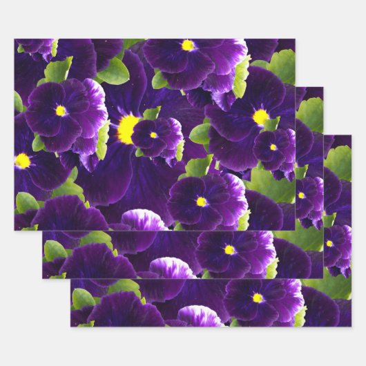 Tief Lila Pansy-Cluster: Majestic Beauty Geschenkpapier Set (Set)