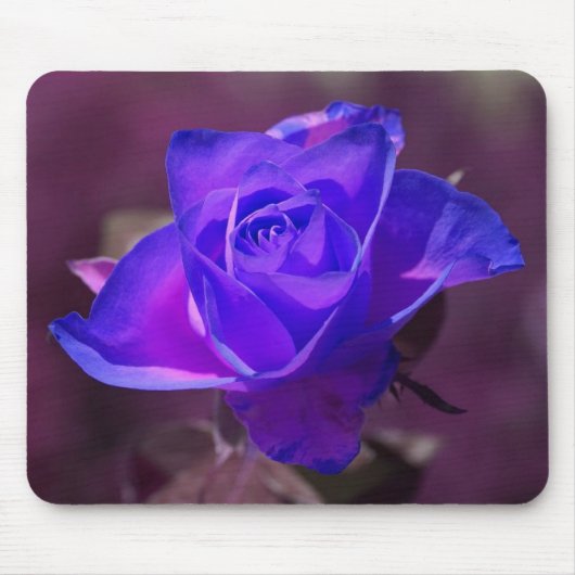 Tief Lila Rose Mousepad (Vorne)