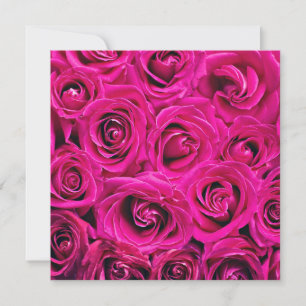Tief rosa blühende Rose Karte