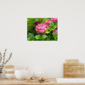Tief rosa Hydrangea Blüten Poster (Küche)