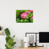 Tief rosa Hydrangea Blüten Poster (Heimbüro)