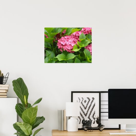 Tief rosa Hydrangea Blüten Poster (Heimbüro)