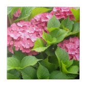 Tief rosa Hydrangeas Fliese (Vorderseite)
