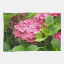Tief rosa Hydrangeas