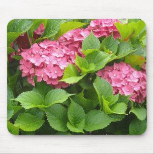 Tief rosa Hydrangeas Mousepad
