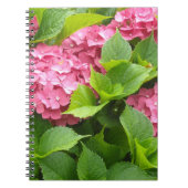 Tief rosa Hydrangeas Notizblock (Vorderseite)