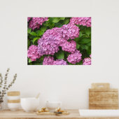 Tief rosa Hydrangeas Poster (Küche)