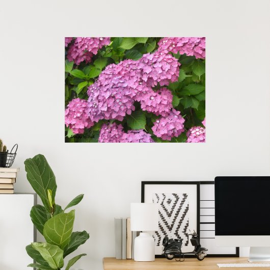 Tief rosa Hydrangeas Poster (Heimbüro)