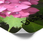 Tief rosa Hydrangeas Poster (Ecke)