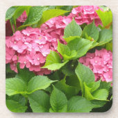 Tief rosa Hydrangeas Untersetzer (Vorderseite)
