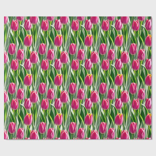 Tief rosa Tulpen - Packpapier (Flach)
