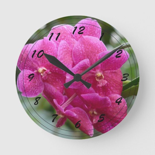 Tief rosa Vanda Orchid Runde Wanduhr (Vorderseite)