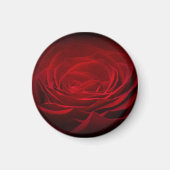 Tief rote Rose auf schwarz Magnet (Vorne)