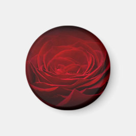 Tief rote Rose auf schwarz Magnet