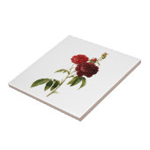 Tief rote Vintage Rose malen Fliese (Seite)