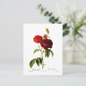 Tief rote Vintage Rose malen Postkarte (Stehend Vorderseite)