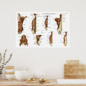 Tief stabilisierende Muskeln Anatomie Poster (Küche)