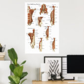 Tief stabilisierende Muskeln Anatomie Poster (Heimbüro)