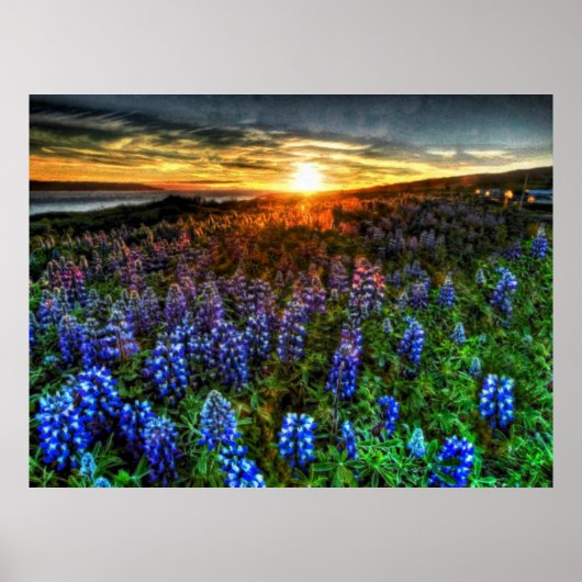 Tiefe 58 poster (Vorne)