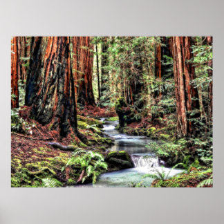 Tiefe 92 Bristle Lum Focus Poster