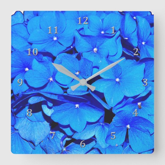 Tiefe blaue Frühlinghydrangea-Blumen Quadratische Wanduhr (Vorderseite)
