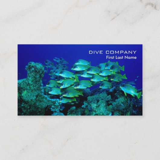 Tiefe FischtauchfirmenVisitenkarten Visitenkarte (Vorderseite)