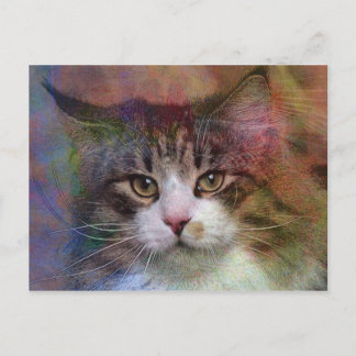 Tiefe Gedanken Postkarte