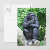 Tiefe Gedanken Postkarte (Vorne/Hinten)
