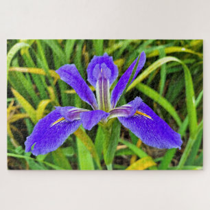 Tiefe lila Iris-Blume in Blüte Puzzle