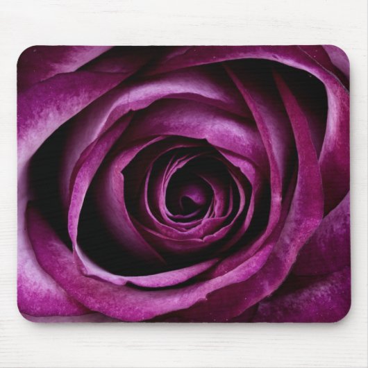 Tiefe Lila Rose Mousepad (Vorne)