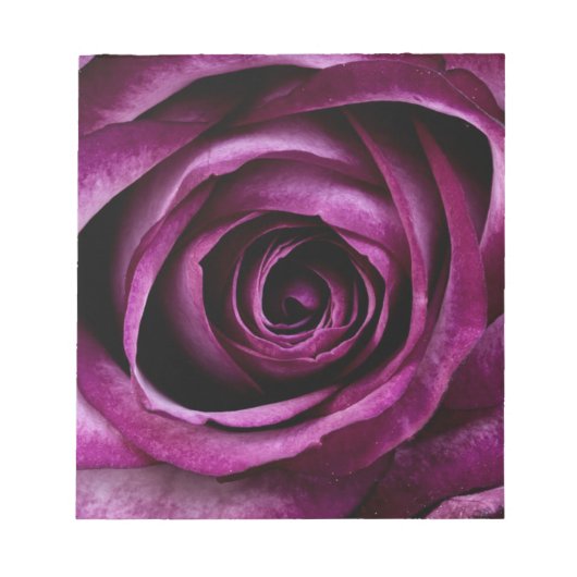 Tiefe Lila Rose Notizblock (Vorderseite)