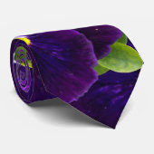 tiefe Lila Stiefmütterchen, Krawatte (Gerollt)