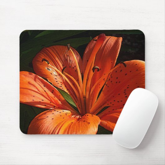 Tiefe Orange Mousepad (Mit Mouse)