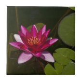 TIEFE PINK LOTUS BLOSSOM UND LEIHE PADS IN POND FLIESE (Vorderseite)